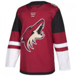 Ice Hockey Jersey